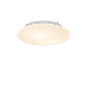 Bankamp Basic 7135/320 Wand-/Deckenleuchte bei lampenonline.de