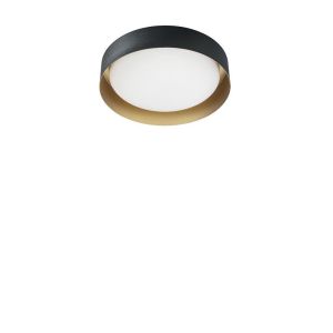 Linea Light Crew_2 262 LED-Wand- und Deckenleuchte-Schwarz/Gold bei lampenonline.de