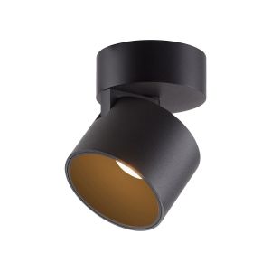 Paul Neuhaus Pure Cup 6226 LED-Deckenstrahler bei lampenonline.de