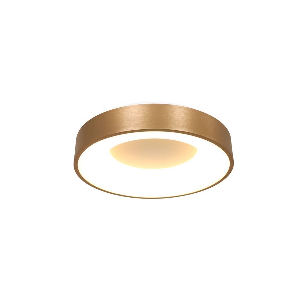 Steinhauer Gold Ringlede Ø 30 Cm Led-Wand- Und Deckenleuchte-Mit Led (2700K)