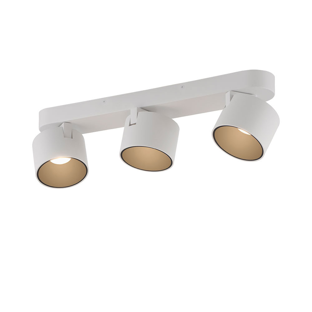 Paul Neuhaus Pure Cup Deckenstrahler in vielen Varianten