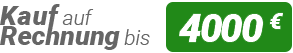 Kauf auf Rechnung Logo